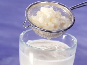 kefir