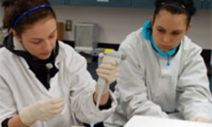 fdbe56d99681702346adc709404c5a95